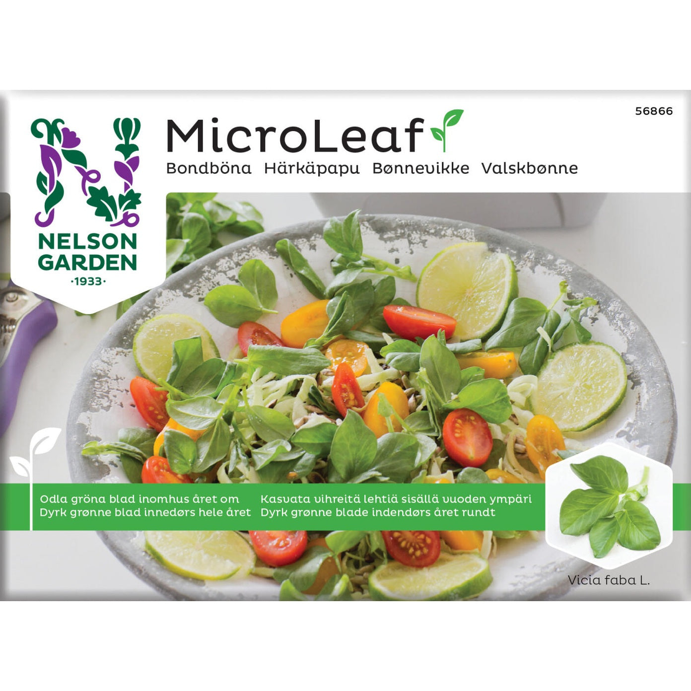 Micro Leaf bondböna