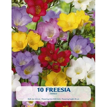 Freesia Enkeltblommande Mix 8-pack