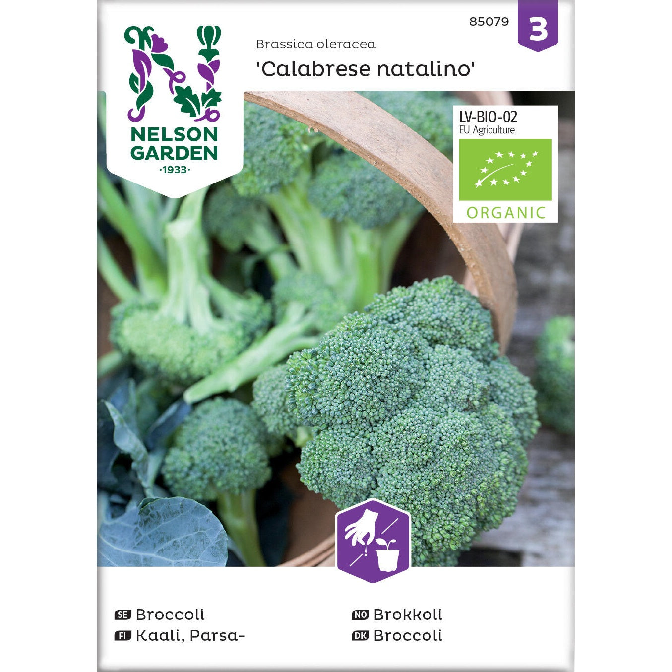 Broccoli Calabrese natalino Organic