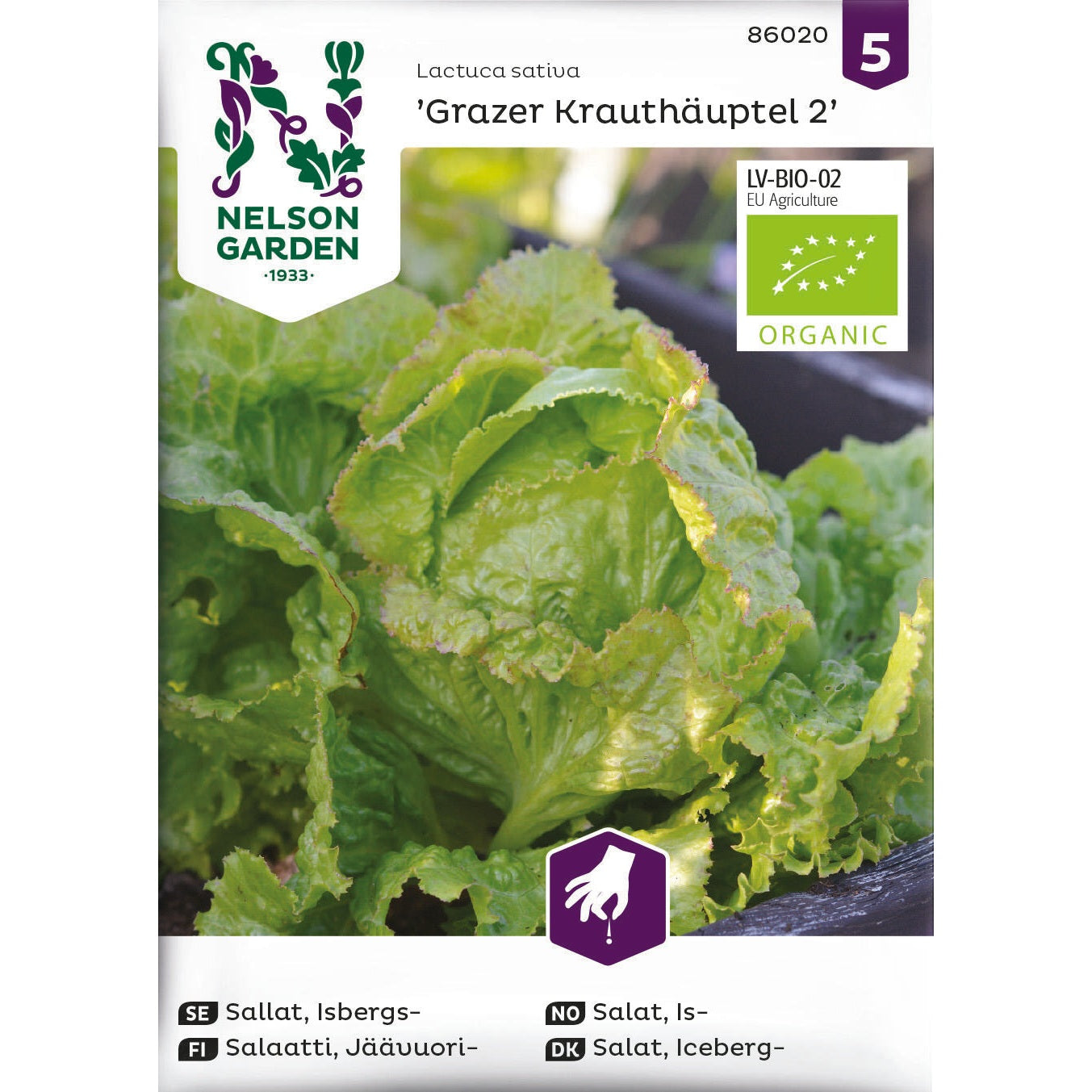Sallat Isbergs- Grazer Krauthäuptel 2 Or