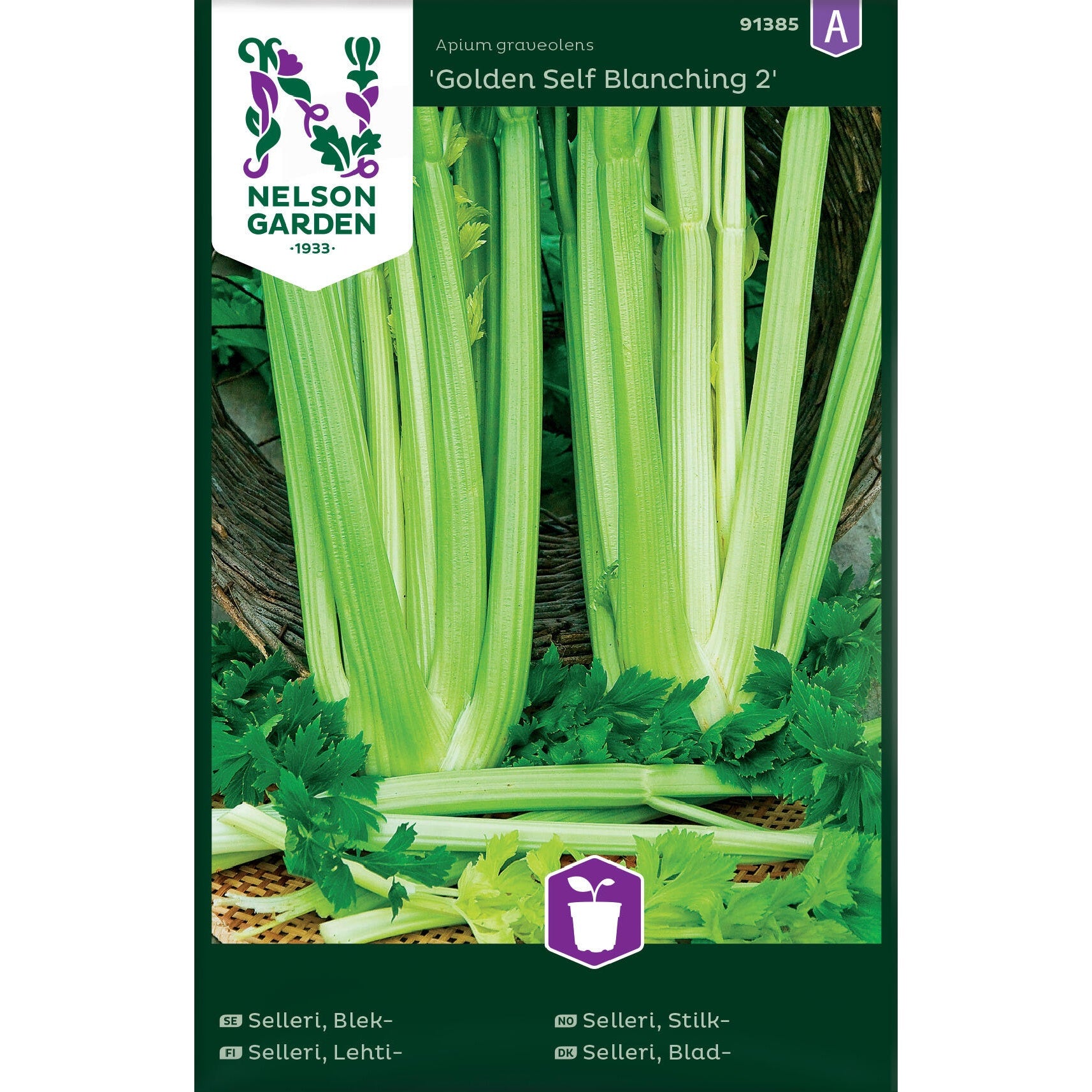 Selleri Blek- Golden Self Blanching 2