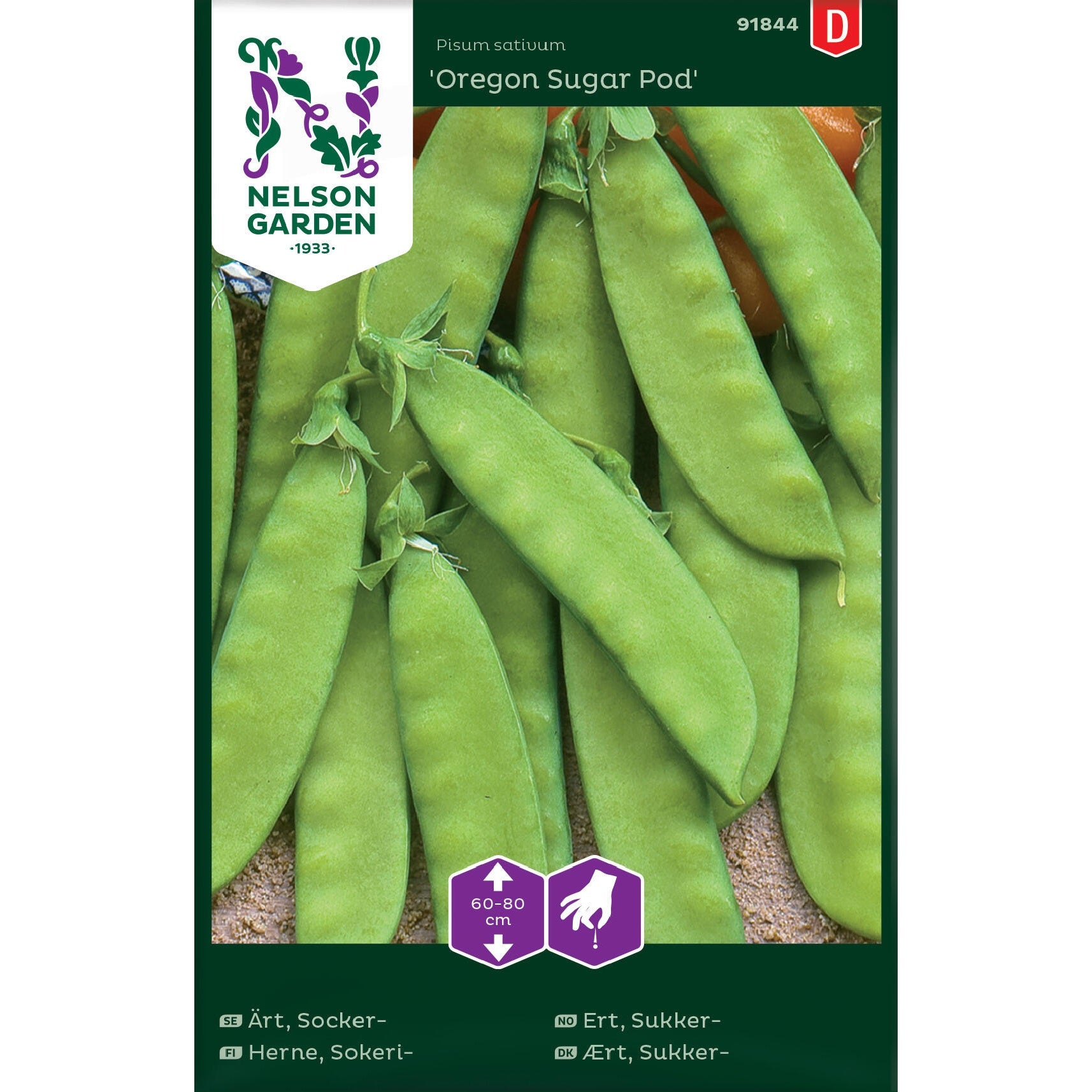 Ärt Socker- Oregon Sugar Pod halvhög