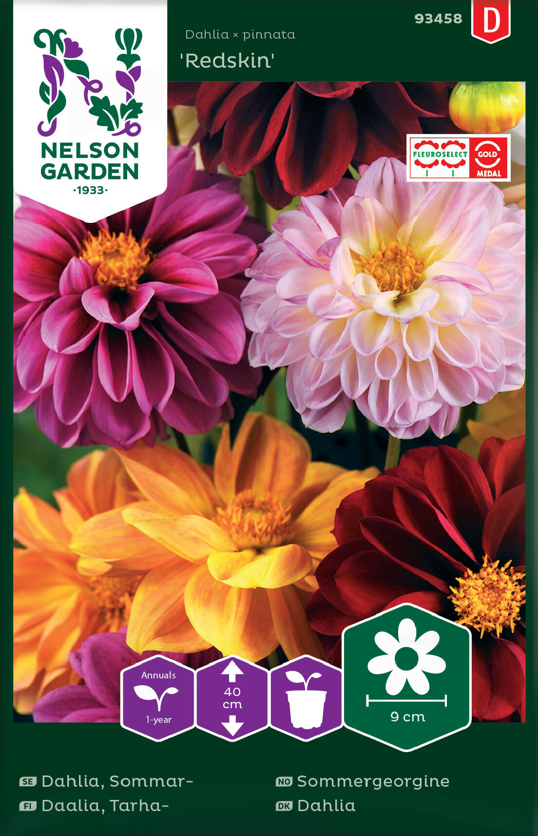 Sommardahlia - Redskin bl färger