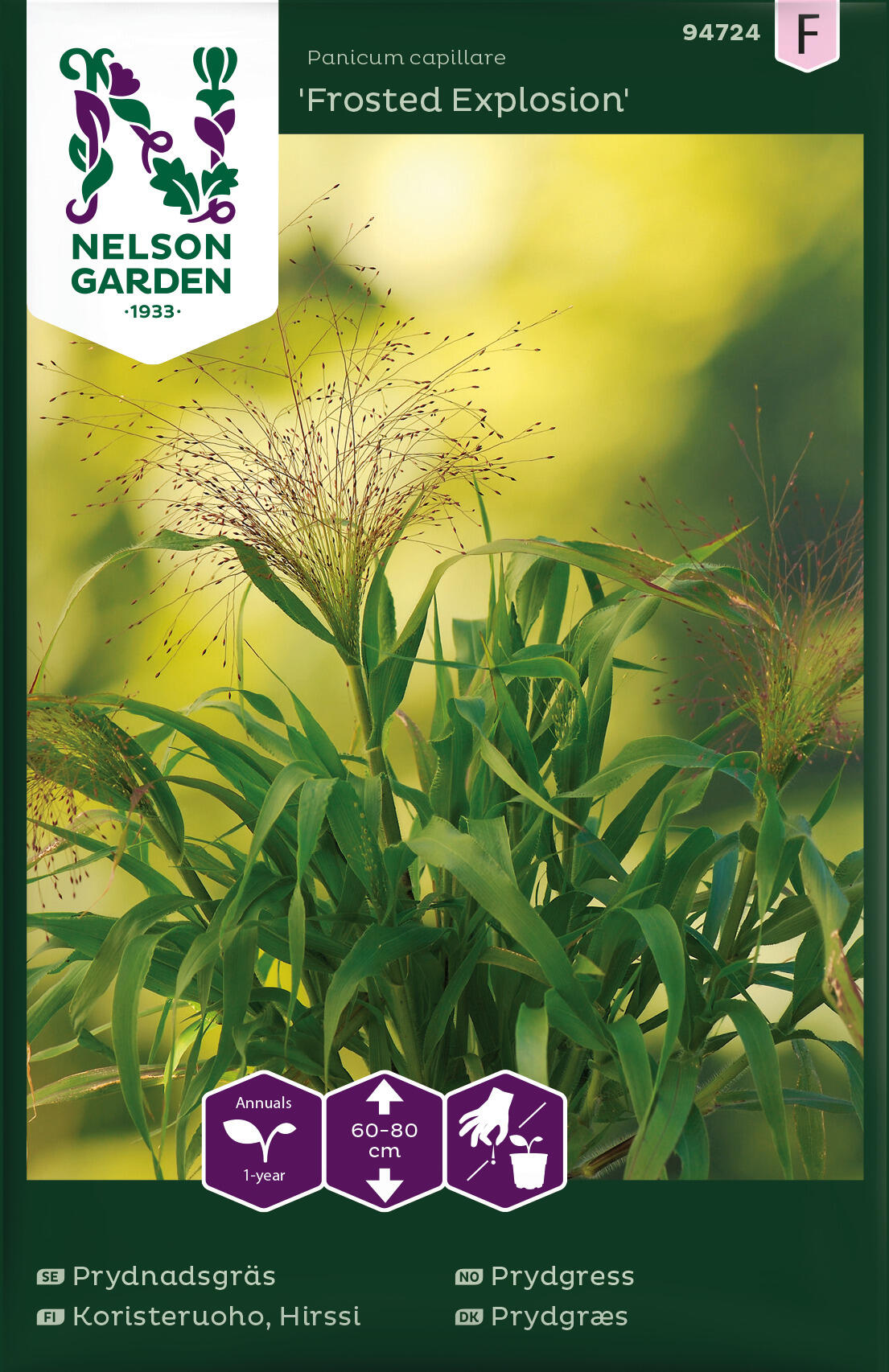 Prydnadsgräs Frosted Explosion