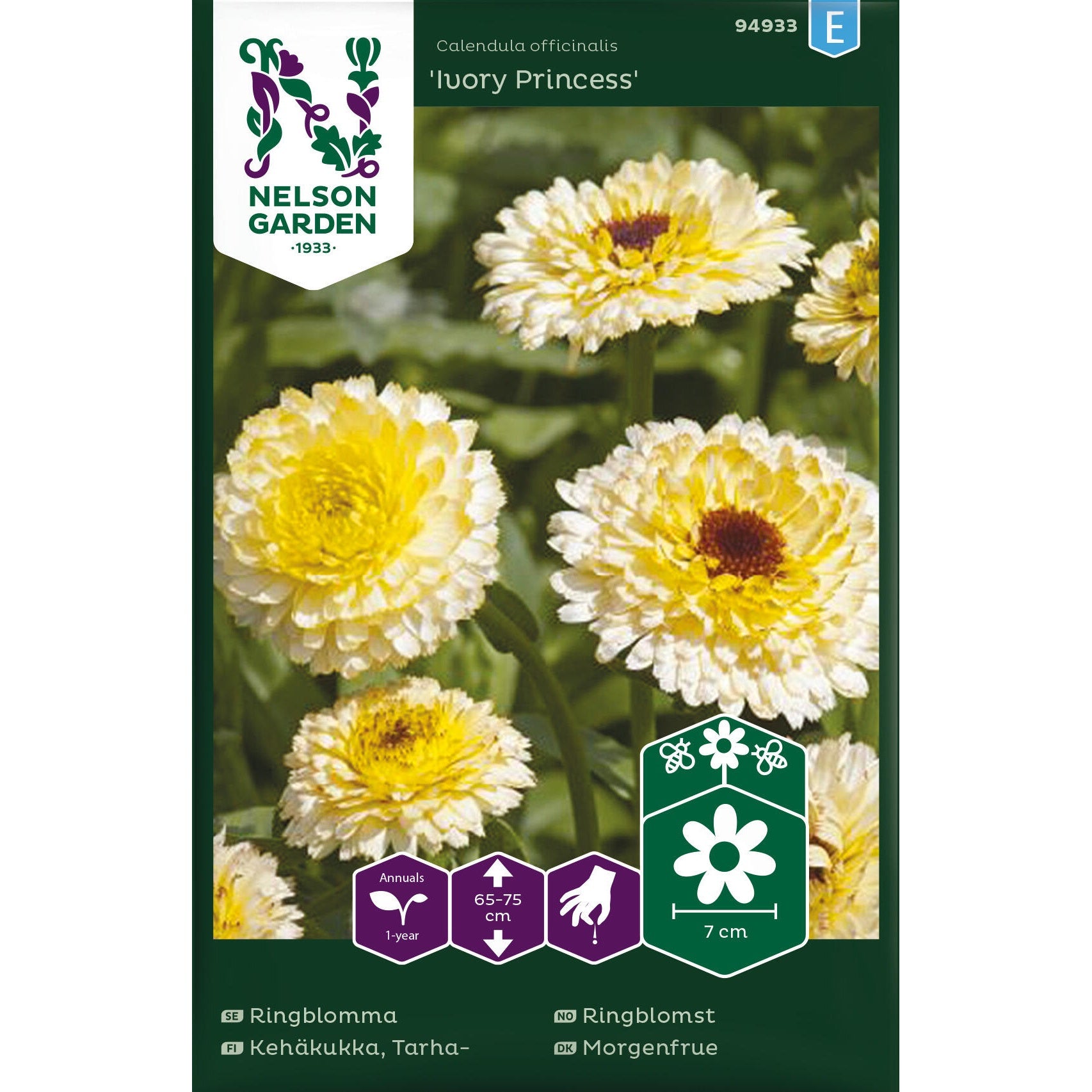 Ringblomma Ivory Princess