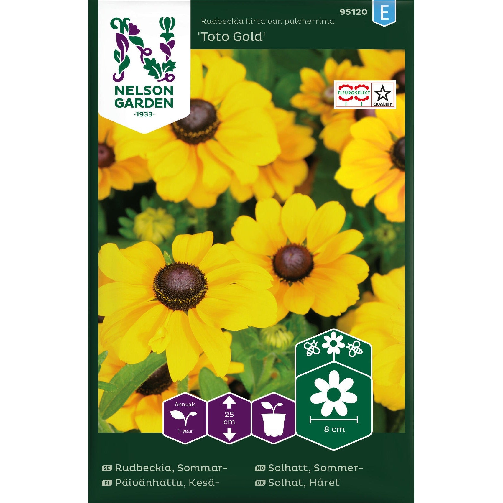 Sommarrudbeckia Toto Gold låg