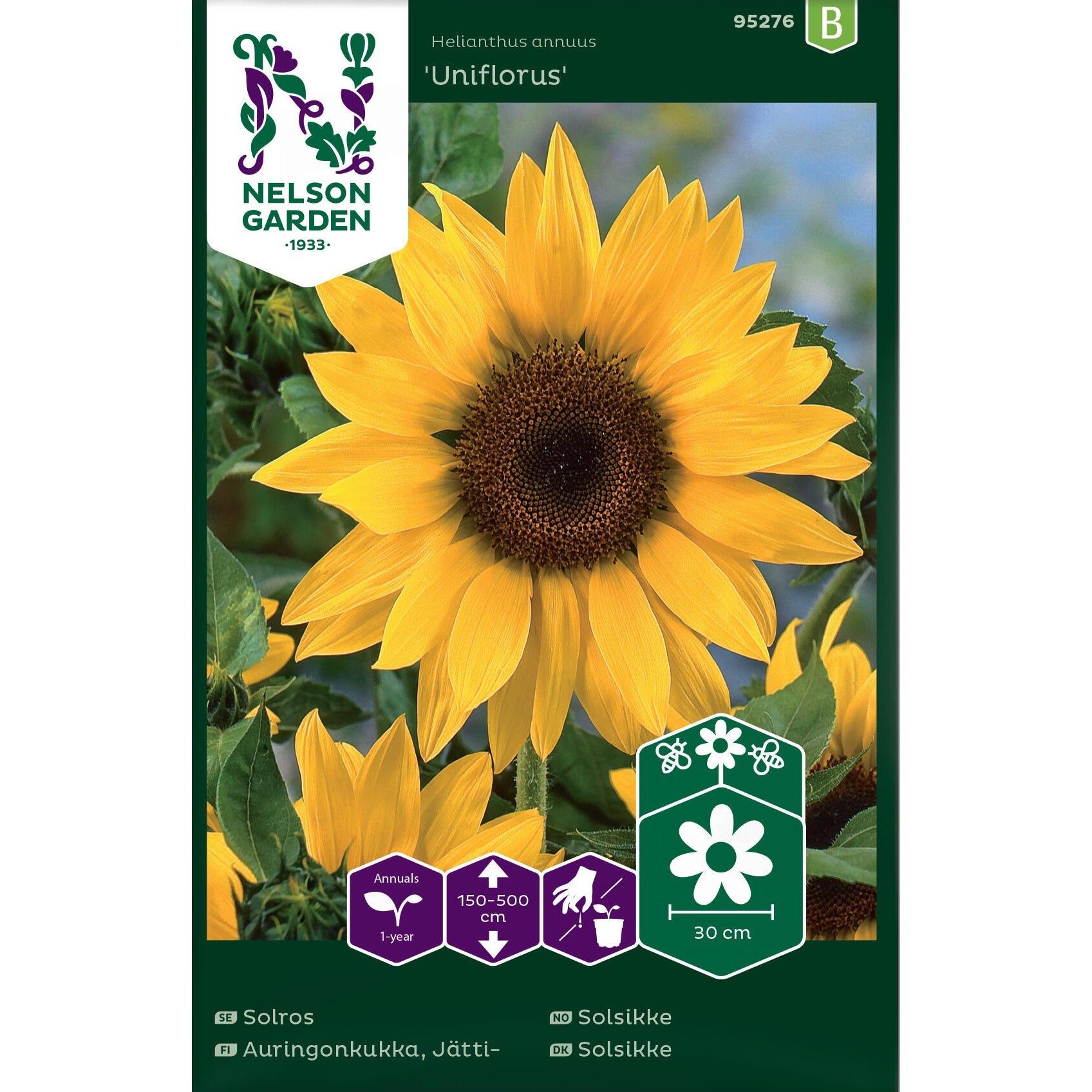 Solros Jätte- hög gul