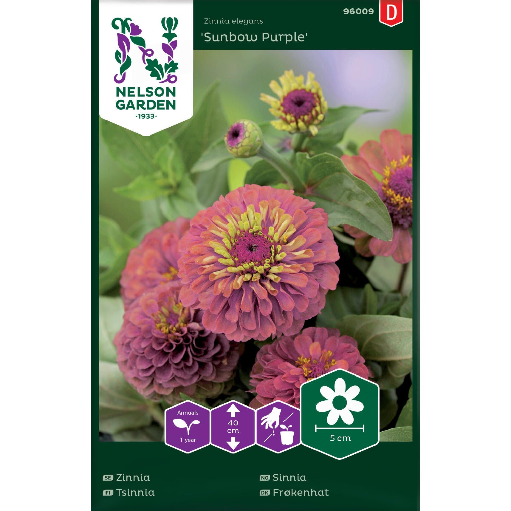 Zinnia Sunbow Purple