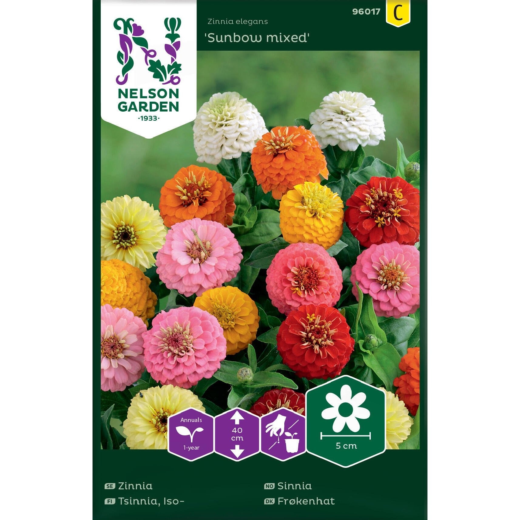 Zinnia Sunbow bl färger