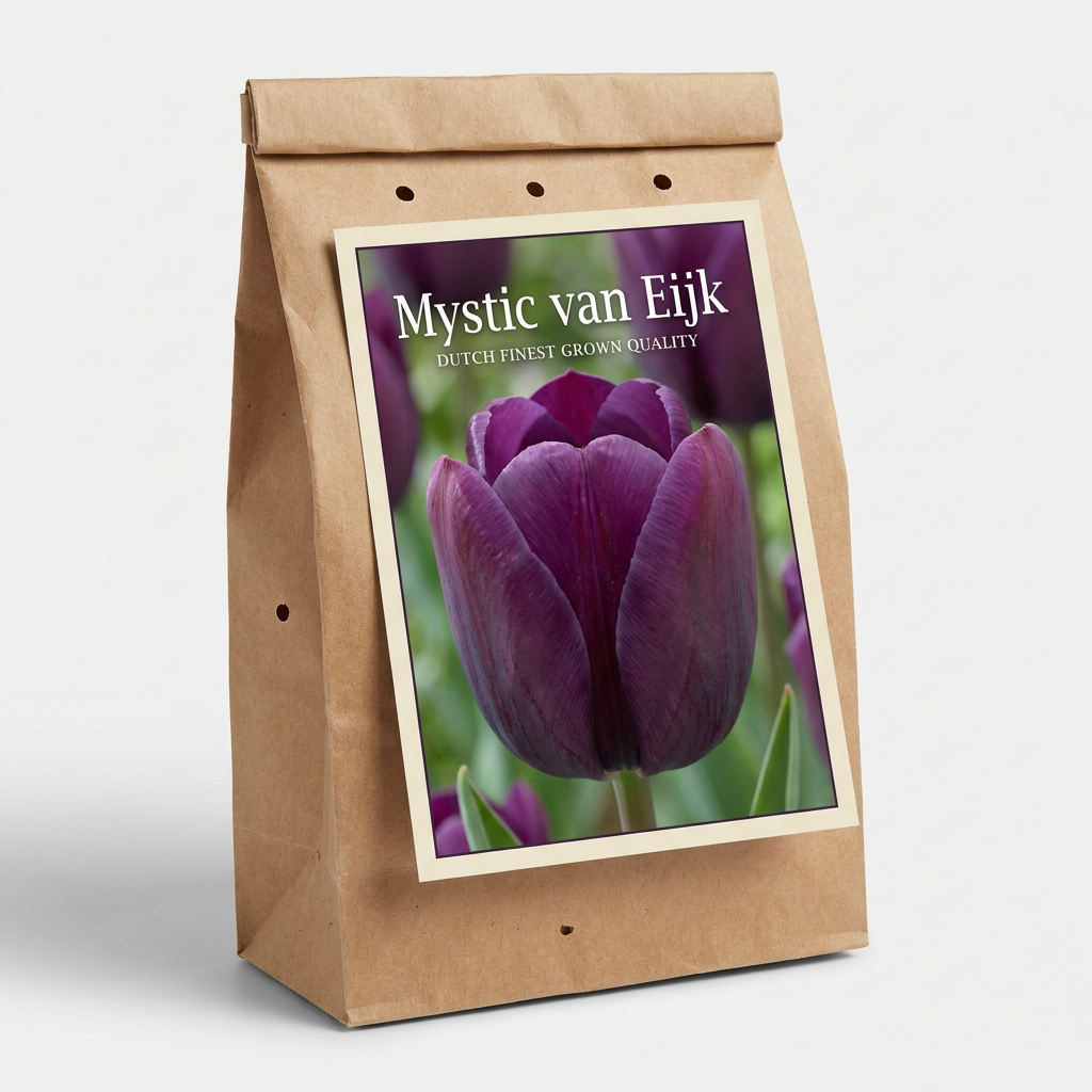 Tulpan Mystic van Eijk 7-pack