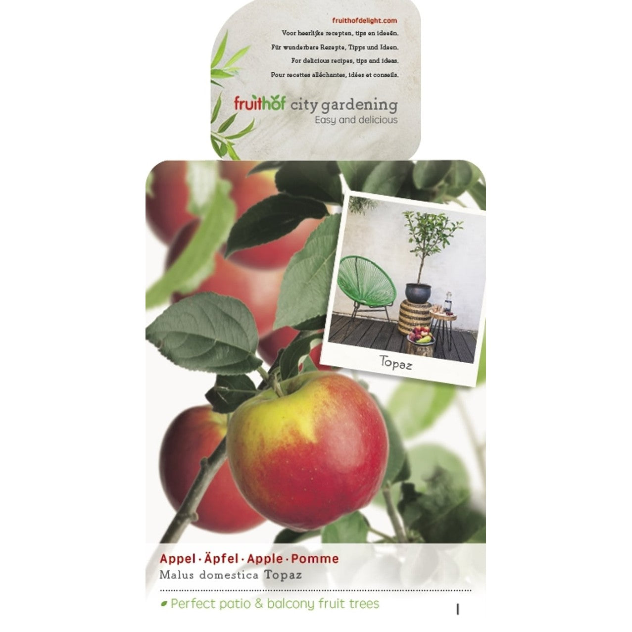 Äpple – Malus domestica &