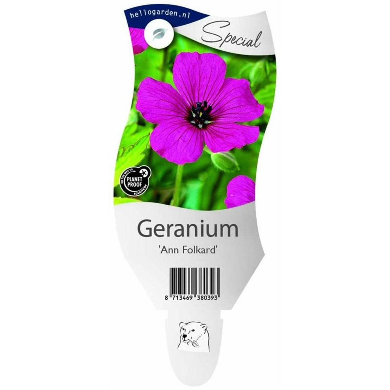 Näva – Geranium 'Ann Folkard' - P11