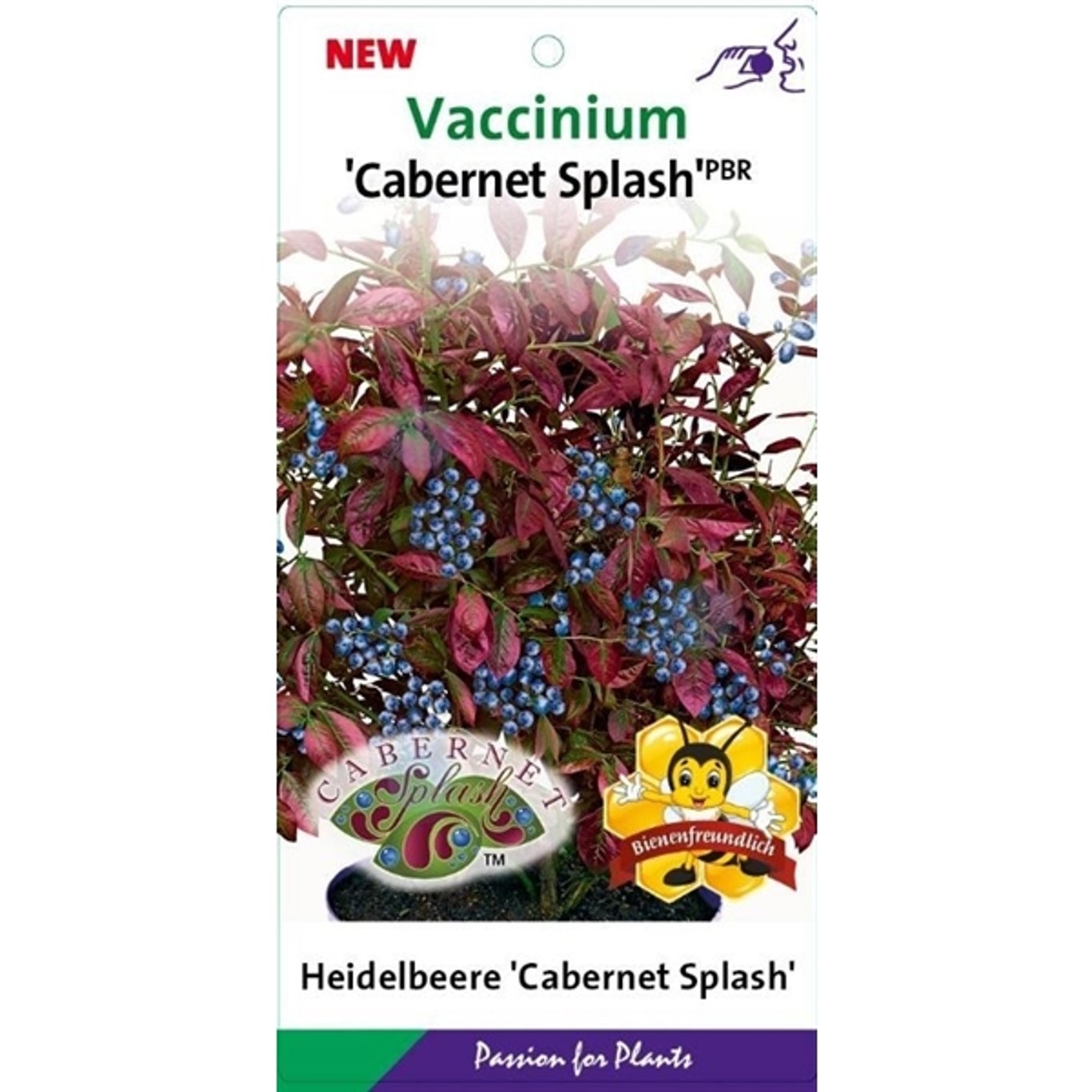 Trädgårdsblåbär – Vaccinium corymbosum 'Cabernet Splash' - C3 25-30 CM