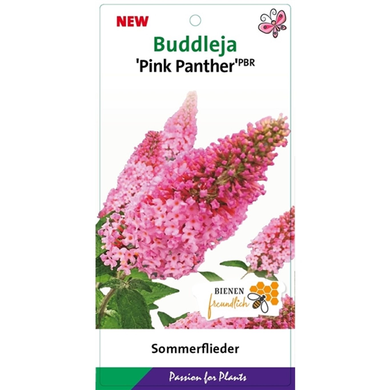 Sommarlilja – Buddleja d. 'Pink Panther' - C3