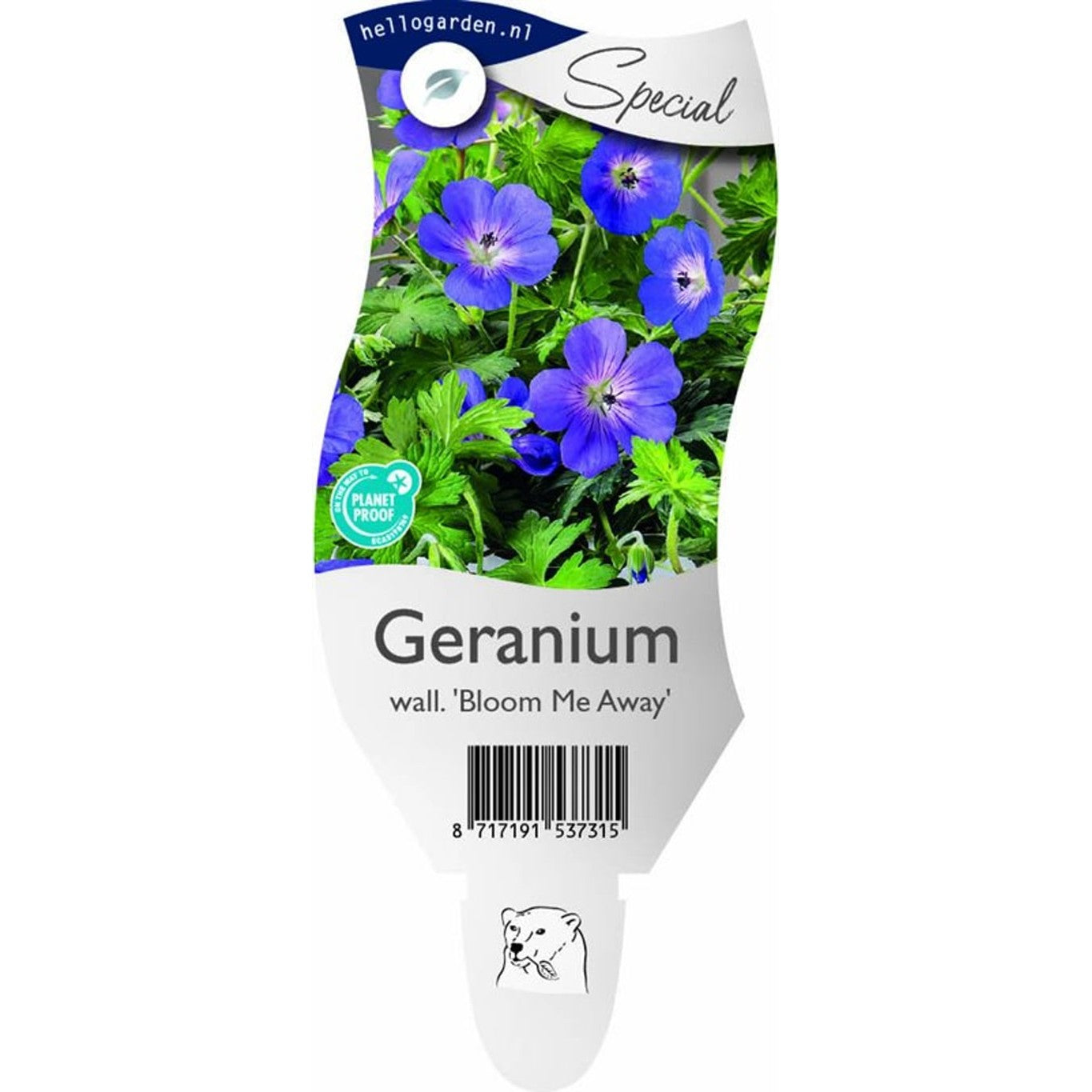 Näva – Geranium 'Bloom Me Away' - P11