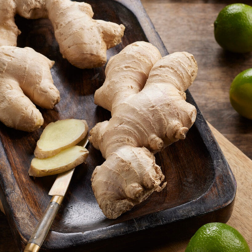Ingefära-Zingiber Officinale 1-pack