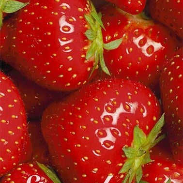 Jordgubb Ostara 5-pack