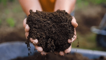 Jord med hemleverans på pall - Svedberga