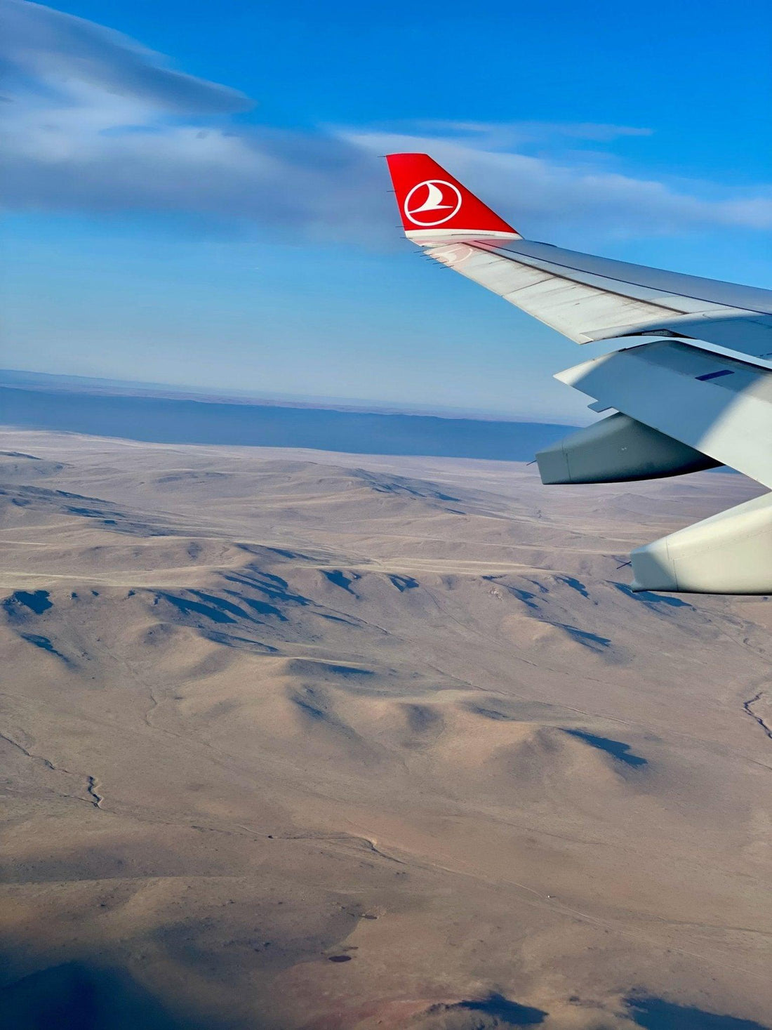 Som att landa på mars 🪐 - Svedberga Plantskola AB