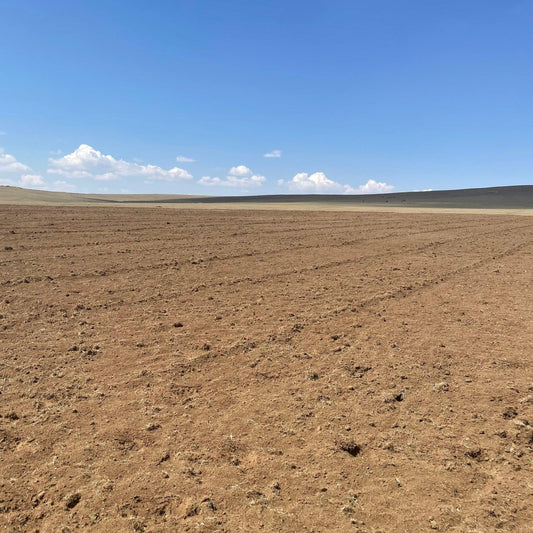 Stort behov av växter.... - Svedberga Plantskola AB