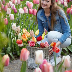Tulpan-Tulipa - Svedberga Plantskola AB