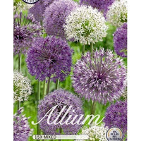 Allium Mix 15-pack