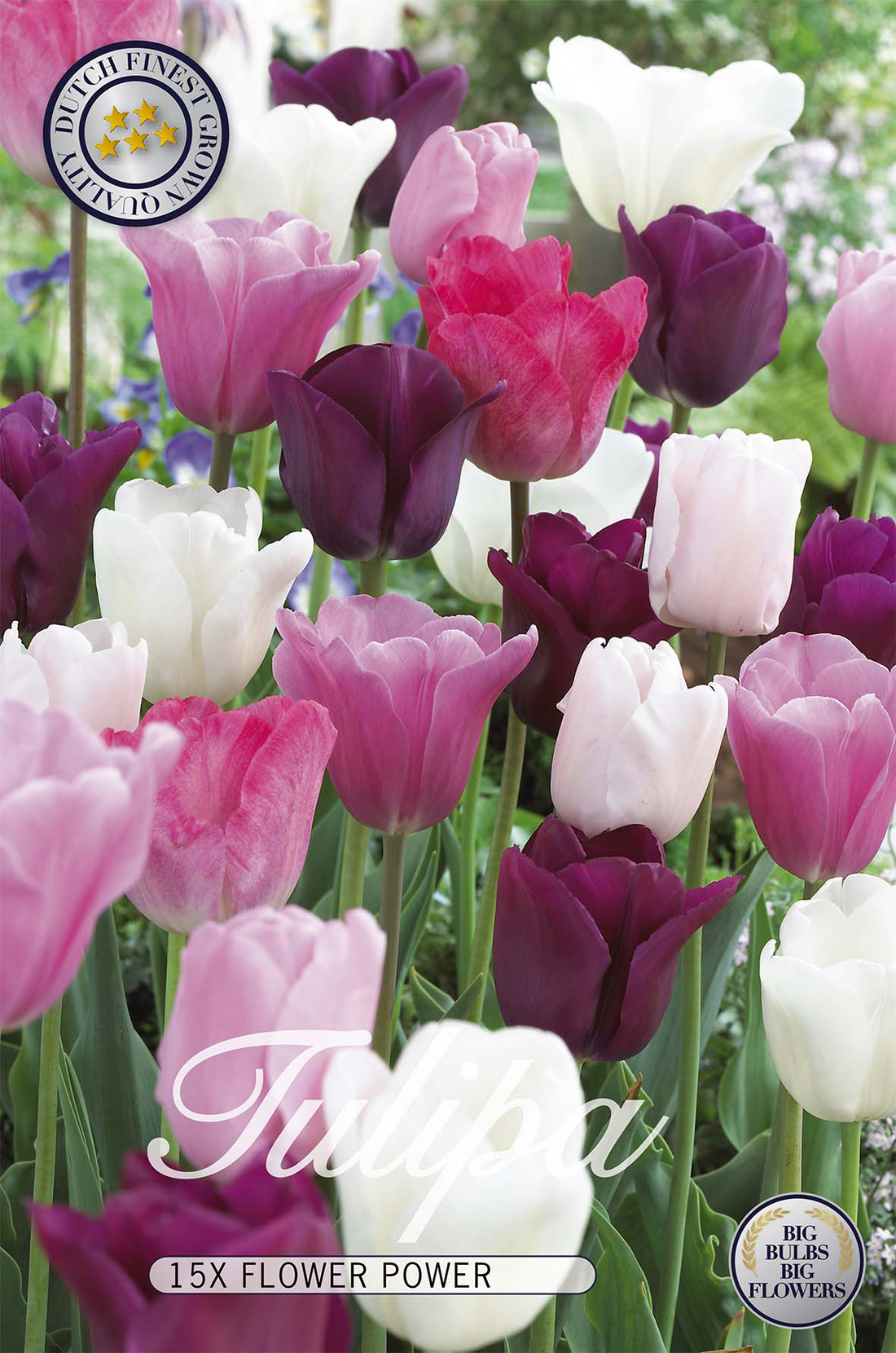 Tulpan Flower Power 15-pack