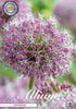 Allium &
