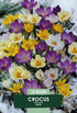 Krokus Botanisk Mix 10-pack