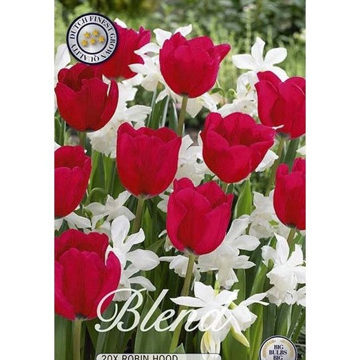 Tulpan/Narciss Robin Hood 20-pack