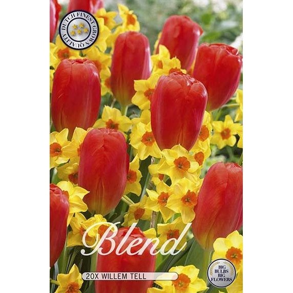 Tulpan/Narciss Willem Tell 20-pack