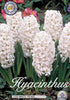 Hyacinthus &