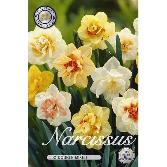 Narciss Dubbel Mix 12-pack