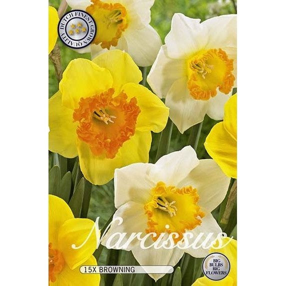 Narciss Browning 15-pack
