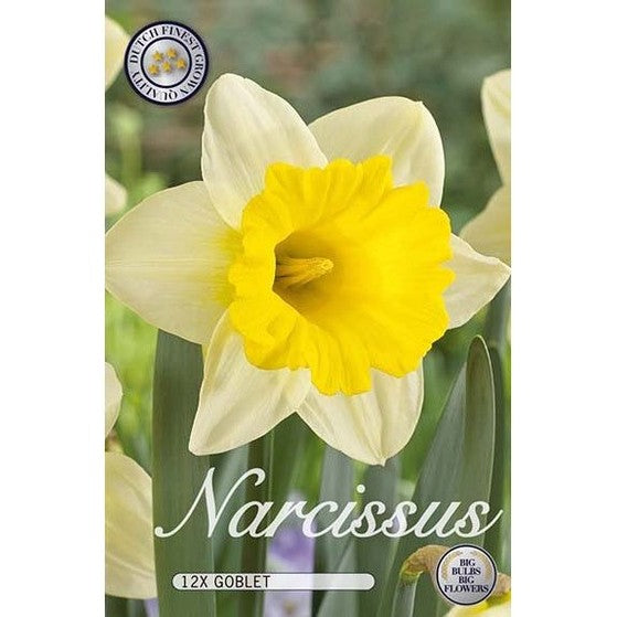 Narciss Goblet (ny) 12-pack