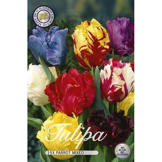 Tulpan Papegojtulpan Mix 15-pack