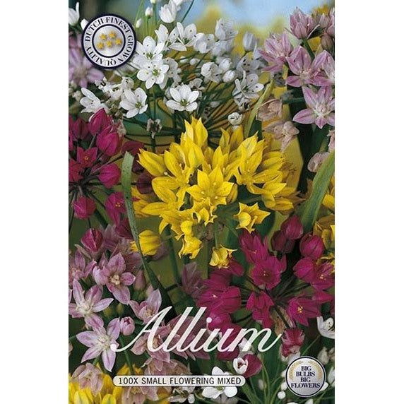 Allium Småblommig Mix 100-pack
