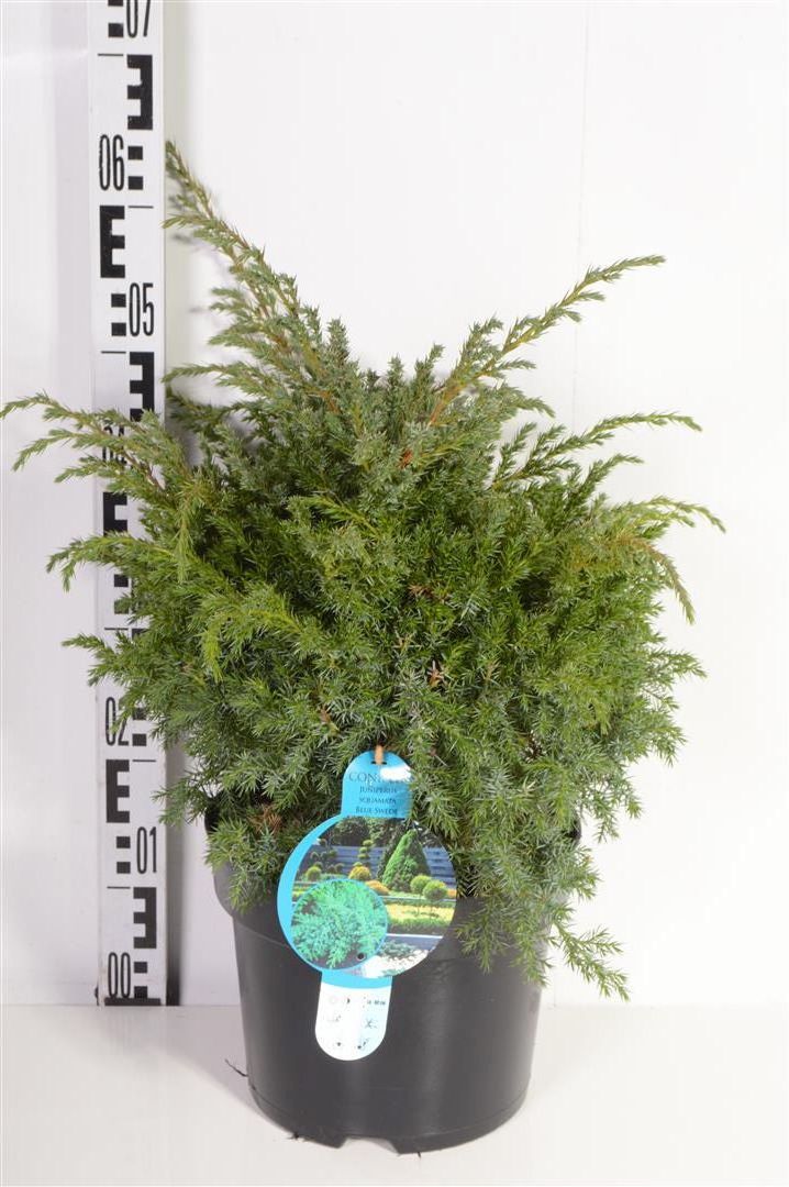 TW-2766524