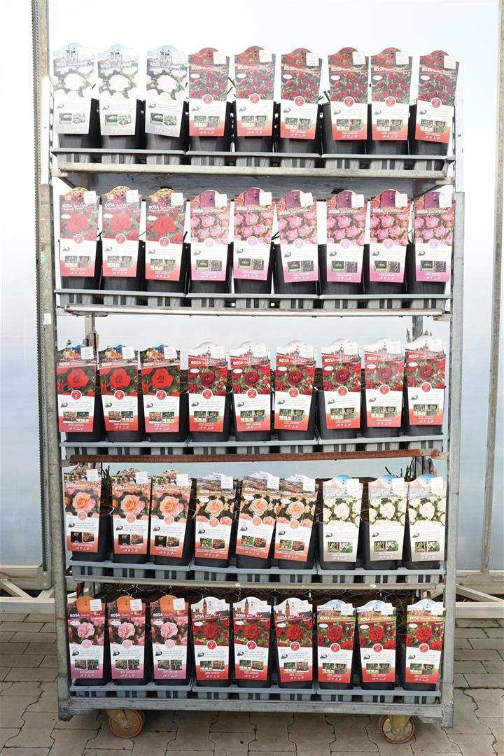 Buskros price group 2 - C3 ROSESCONTAINER