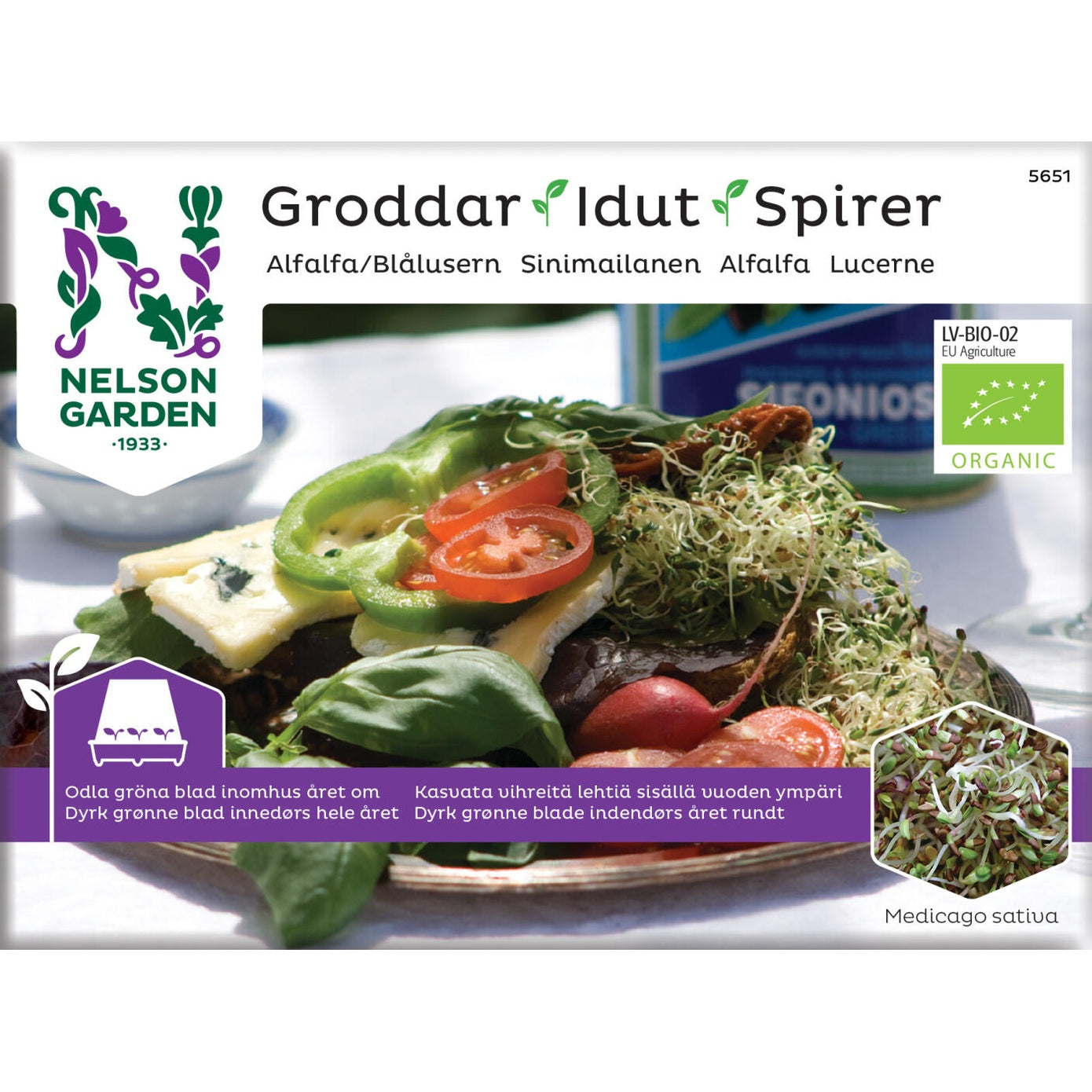 Groddar alfalfa Organic