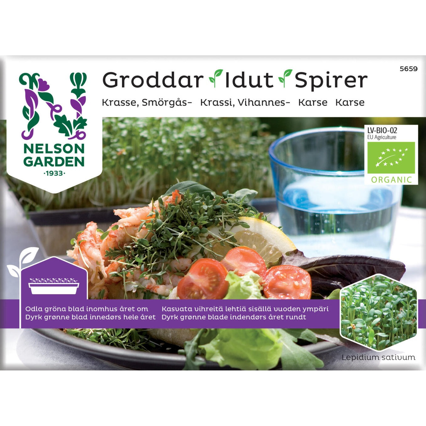 Groddar smörgåskrasse Organic