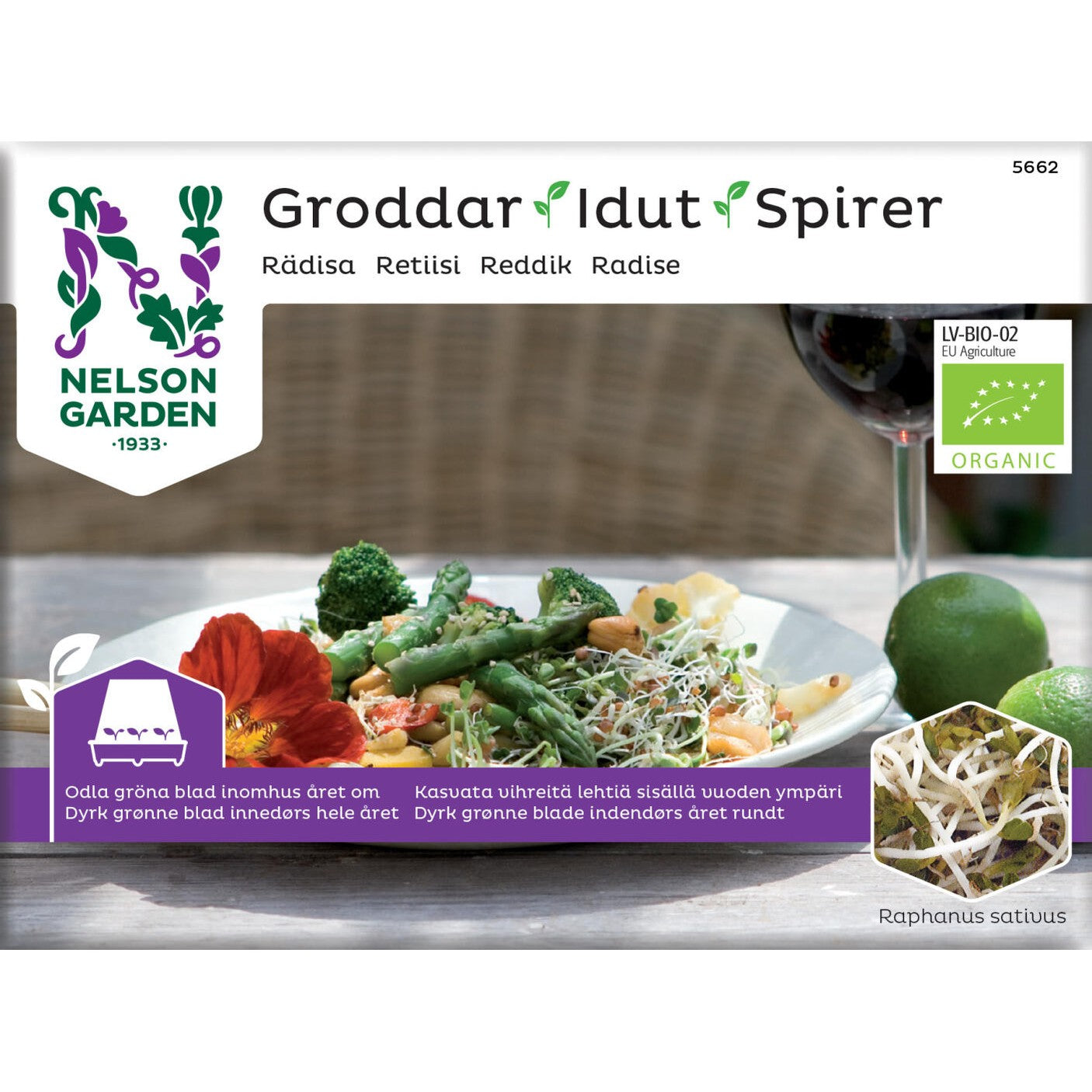 Groddar rädisa Organic