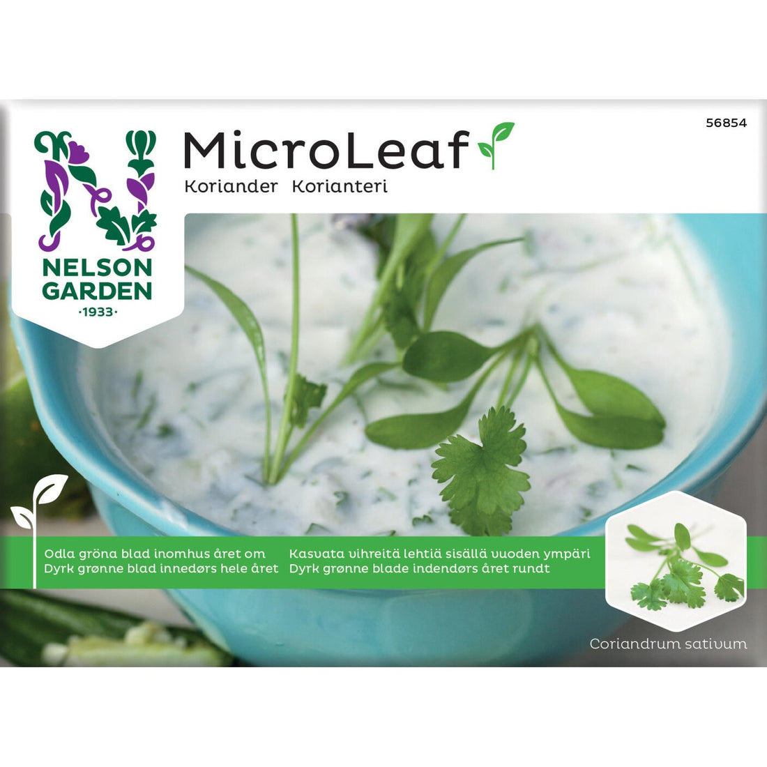 Micro Leaf koriander