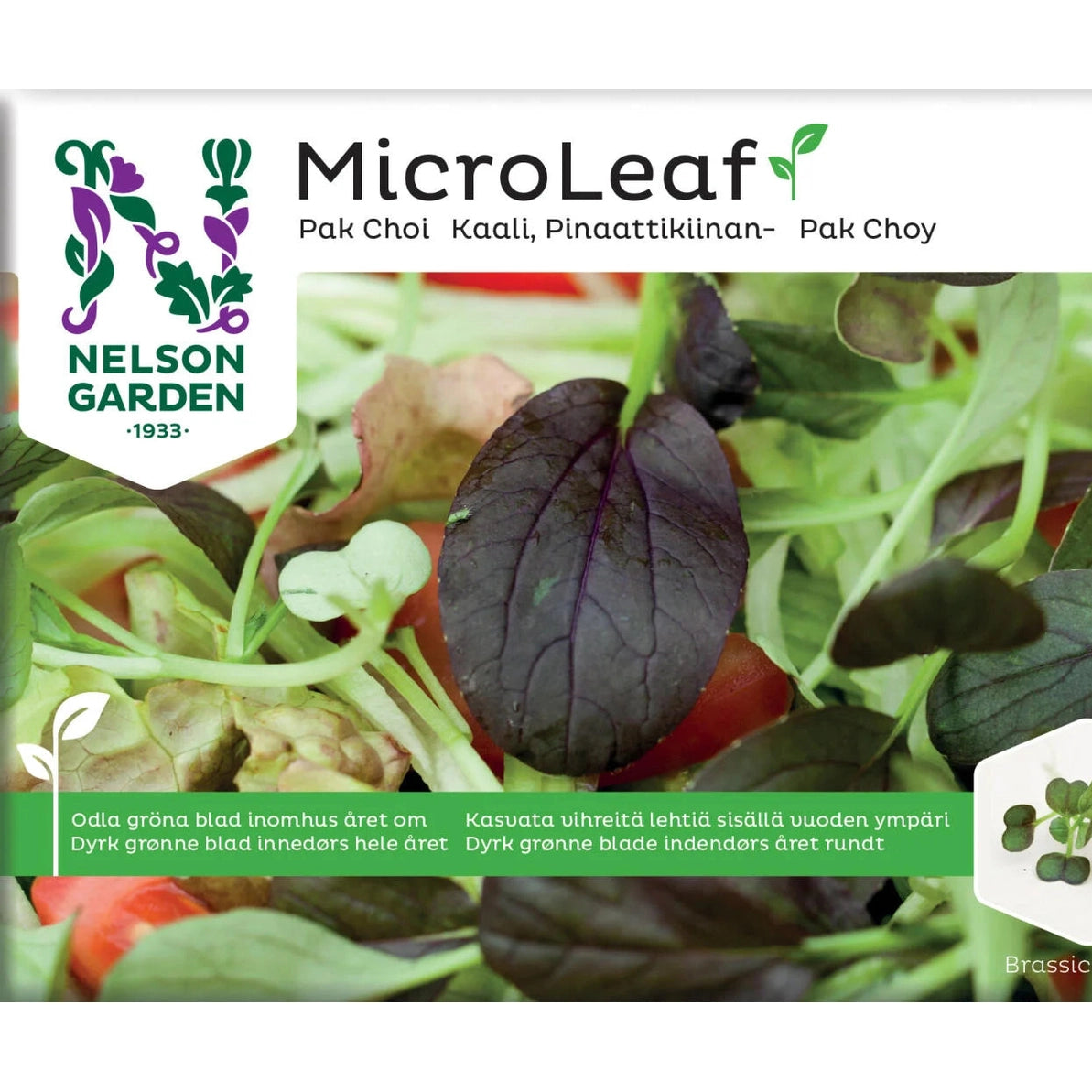 Micro Leaf pak choi
