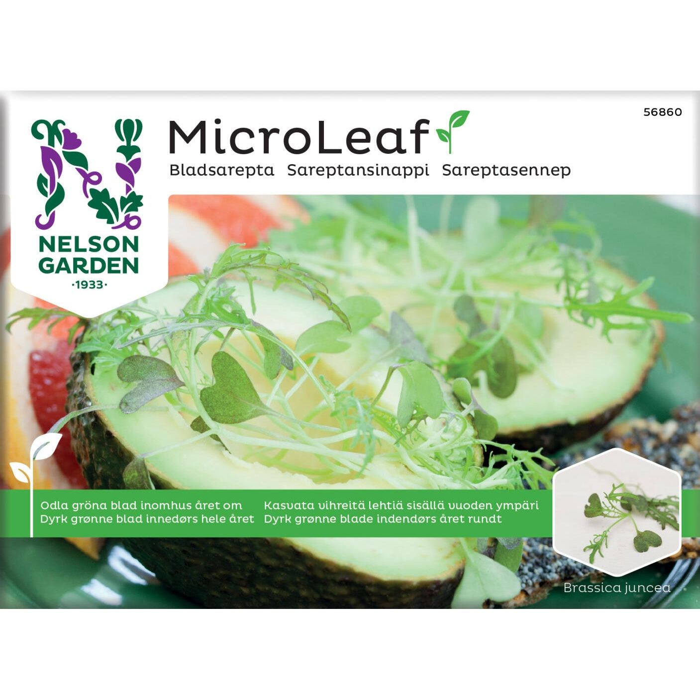 Micro Leaf bladsarepta