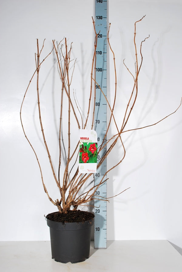 Prakttry &