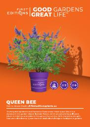 Vitex a.-c. &