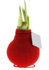 Amaryllis &