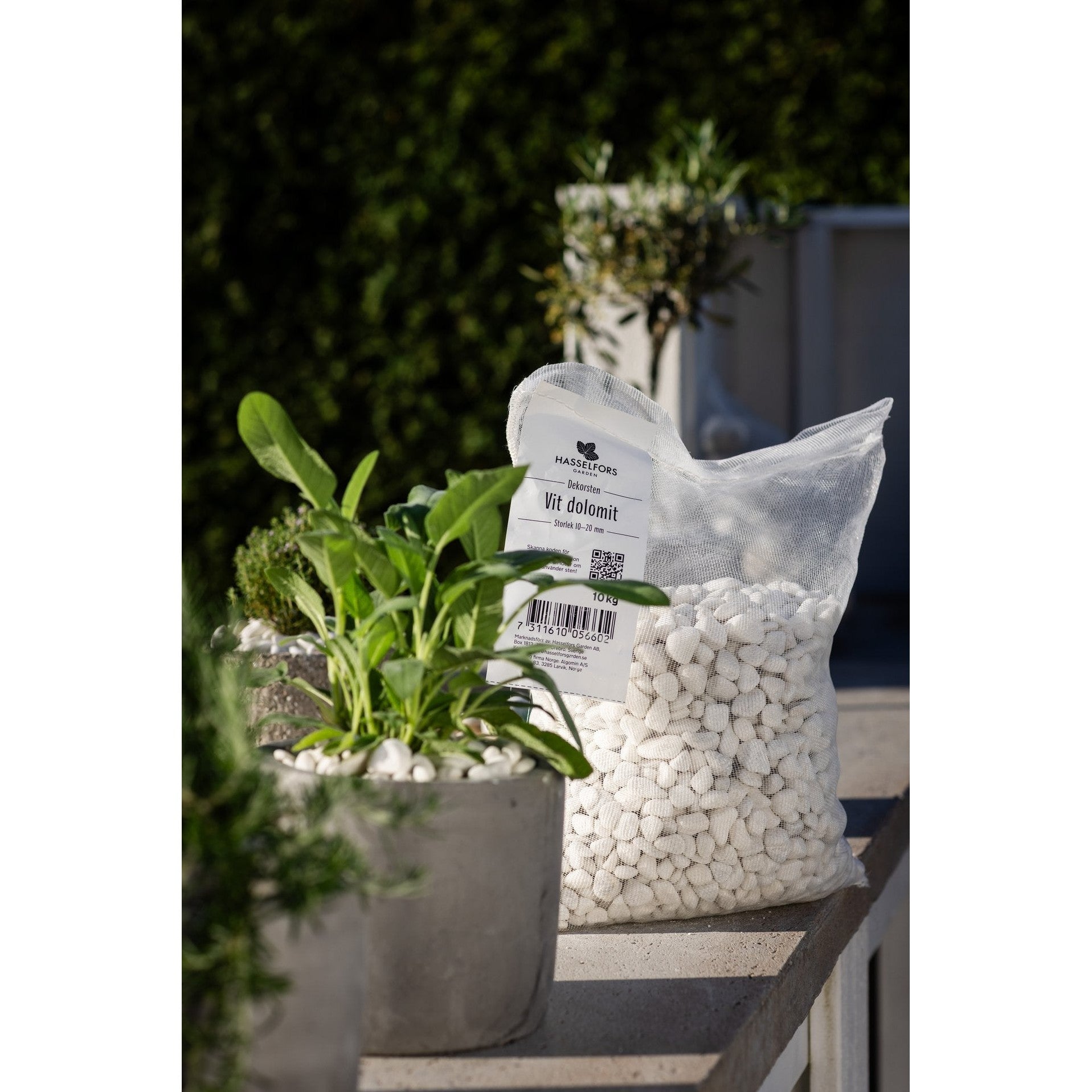 Dekorsten Vit Dolomit 25-40mm, 500kg, 50st, Halvpall