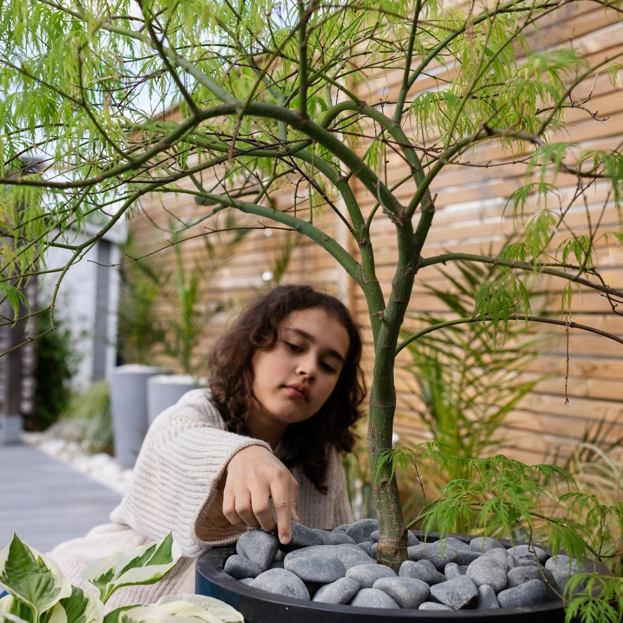 Dekorsten Grå basalt 30-60mm, 500kg, 50st, Halvpall